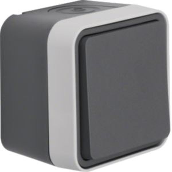 BERKER AP-Wechselschalter 30763505 lichtgrau