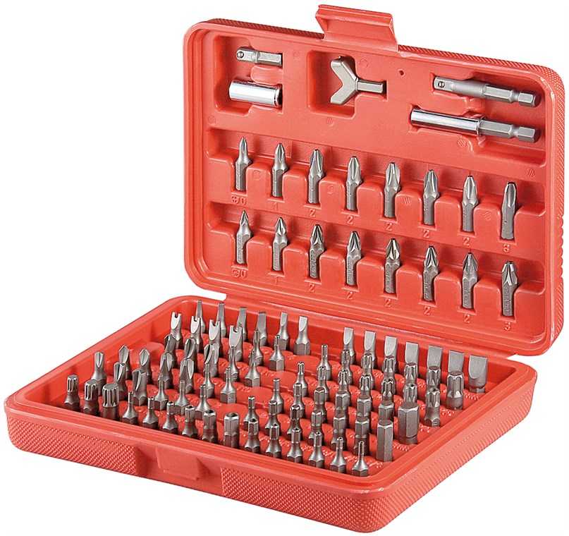 Bit Set Universal 100 Teile / Bitsatz mit magnetischen Bithalter 6,35m