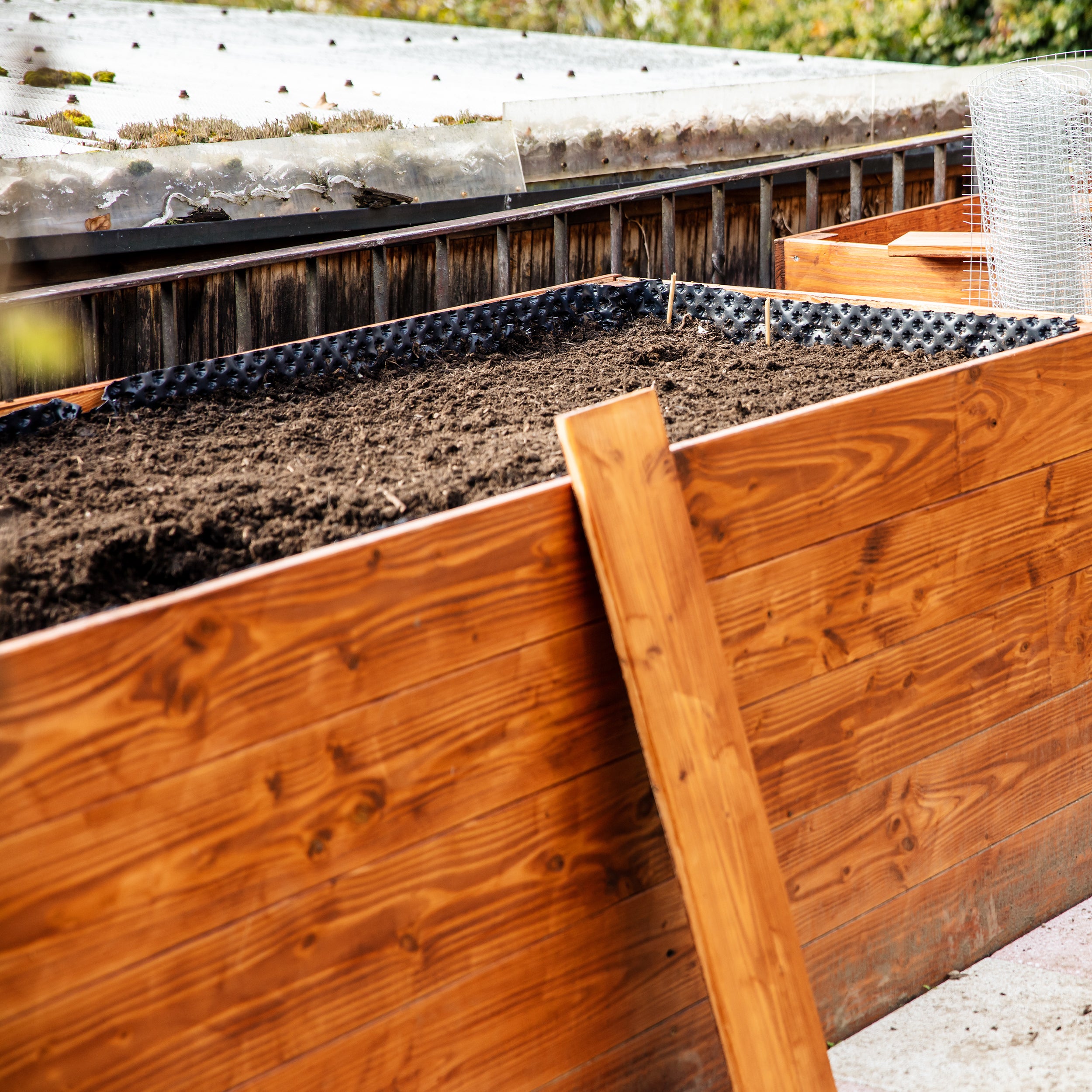 20m (50cm x 20m) PROFI Noppenbahn Hochbeet Folie Noppen Grundmauerschutz Bau Drainage Garten