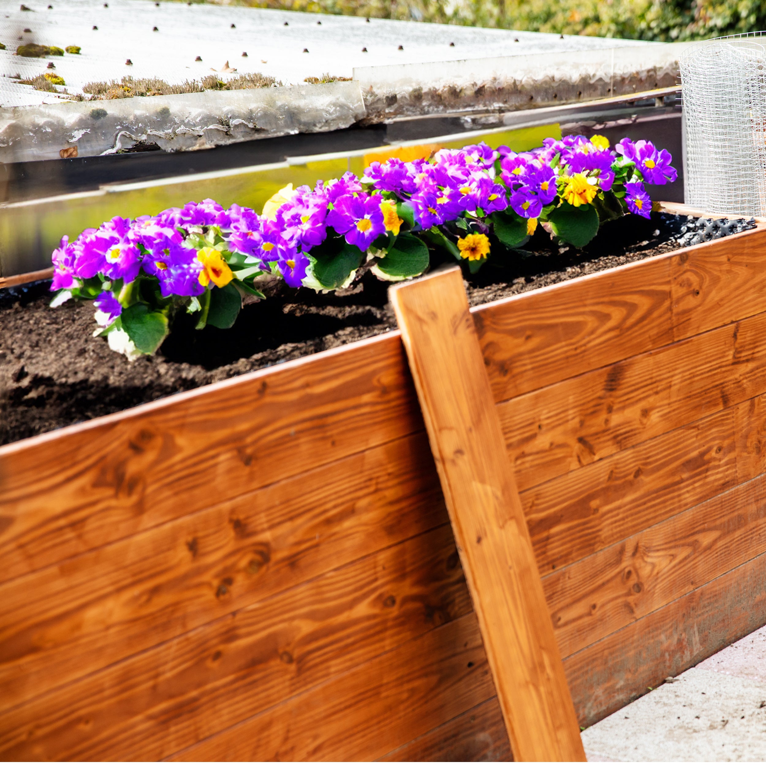 20m (50cm x 20m) PROFI Noppenbahn Hochbeet Folie Noppen Grundmauerschutz Bau Drainage Garten