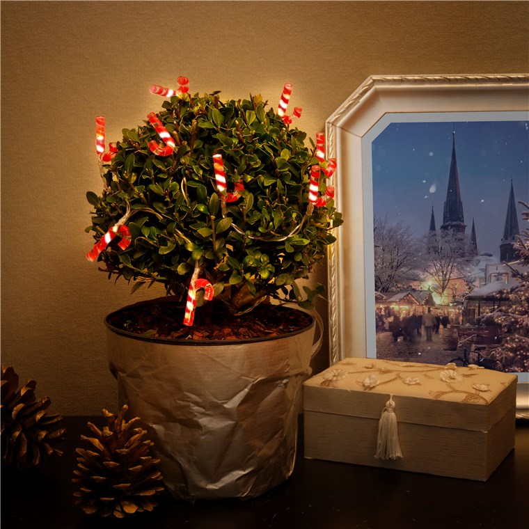 goobay 10er LED Zuckerstangen Lichterkette, Zuckerstäbe, Candy Cane Weihnachtsbeleuchtung, warm-weiß leuchtend, Timerfunktion, rot, weiß, Klar