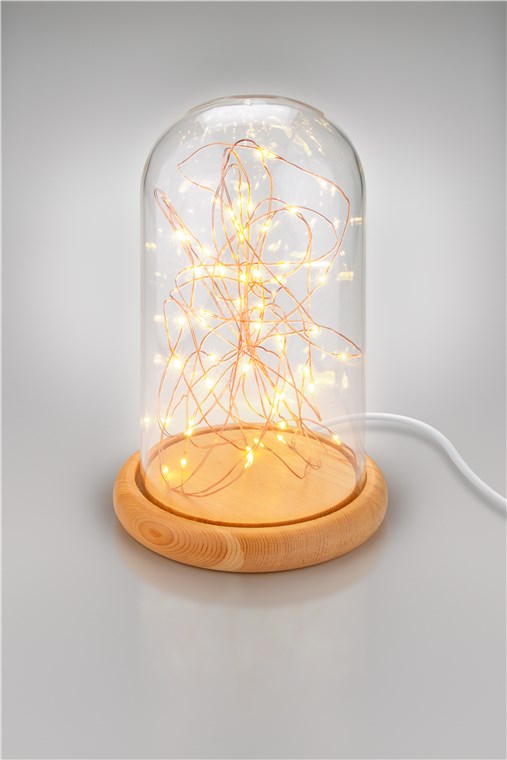 goobay Glasglocke mit LED-Micro-Lichterkette / dekorative Lampe / warmes, beruhigendes Licht / feierliche Beleuchtung für Winterdeko, Weihnachten, Innendekoration / Echtholz, Glas, mit Schalter