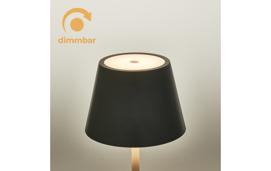 ROLF KERN LED Tischlampe | CLUB 25cm | Aufladbarer Akku Tischleuchte ohne Kabel, dimmbar per Touch, IP54 für Innen und Außen geeignet 2700K Licht warmweiß mit USB Ladekabel, basaltgrau [Energieklasse G]
