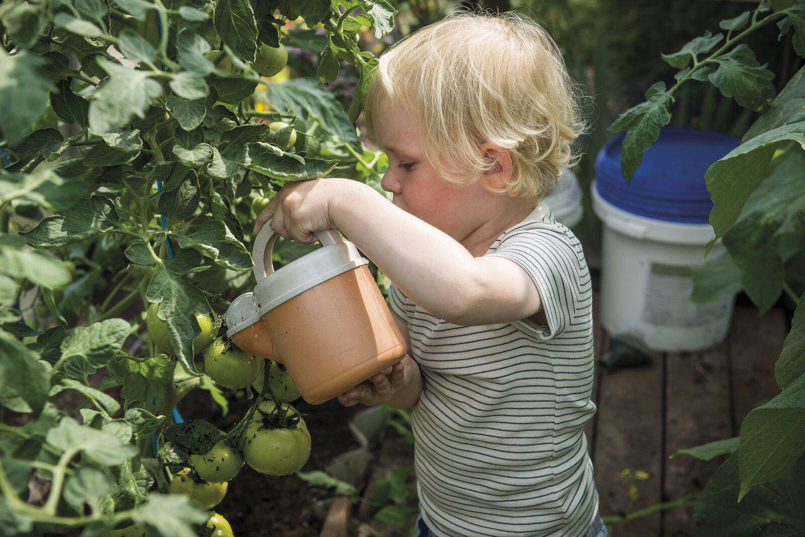 DANTOY Bio Spielzeug Gartenset Pflanzwerkzeug Blumentopf Kinder Gießkanne NEU